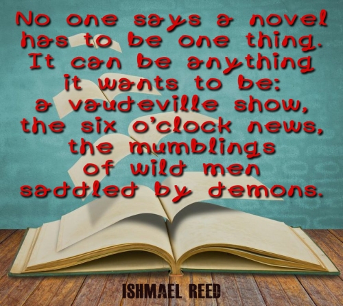 novel can be anything quote